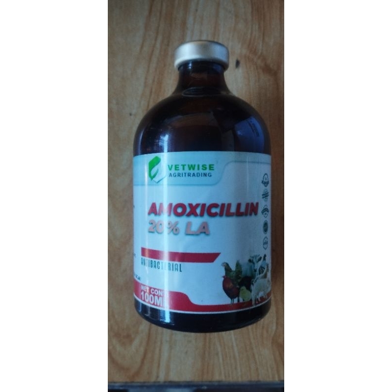 AMOXICILLIN LA ANTIBACTERIAL FOR ANIMALS ( 100 ML ) | Shopee Philippines