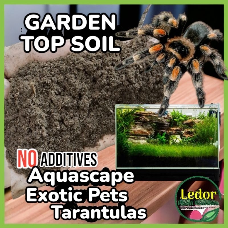 Lupa Pang Halaman Top Soil Garden Soil for Fossorial Tarantulas Spiders