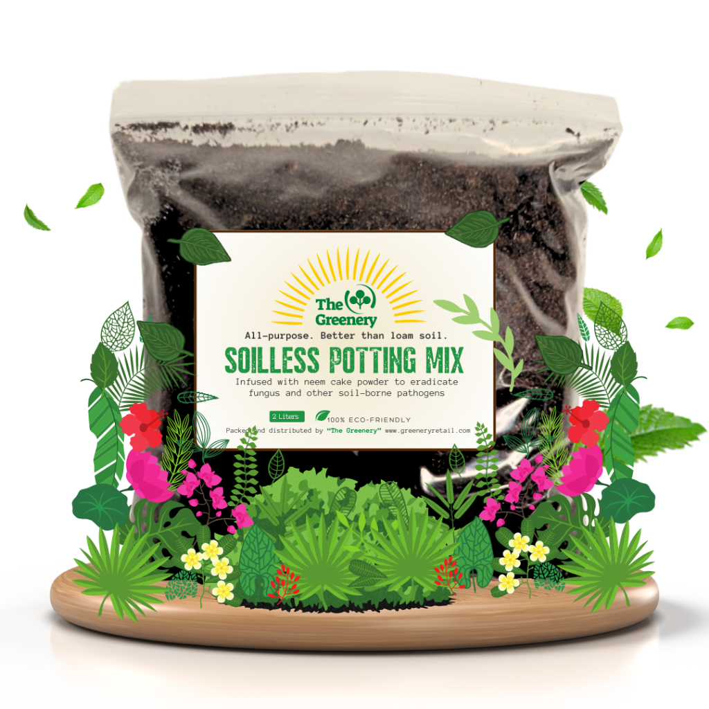 thumbnail image 2 of 2QT Pothos Soil, Ideal Soilless Potting Soil Mix For Taiwan | Ubuy 2 of 10