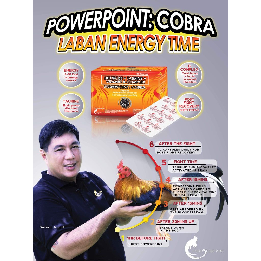 Powerpoint: Cobra (Sold by 10s) for Gamefowls By Mad Science | Shopee ...