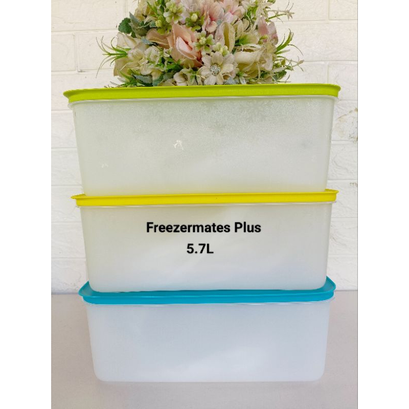Tupperware 1-PC Freezermates Plus 5.7L (food container for Freezer ...