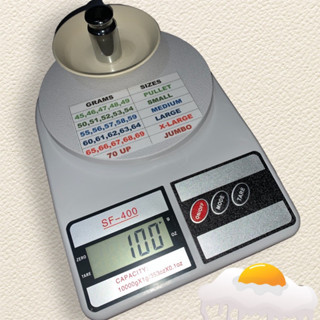 Egg scale hotsell for sale