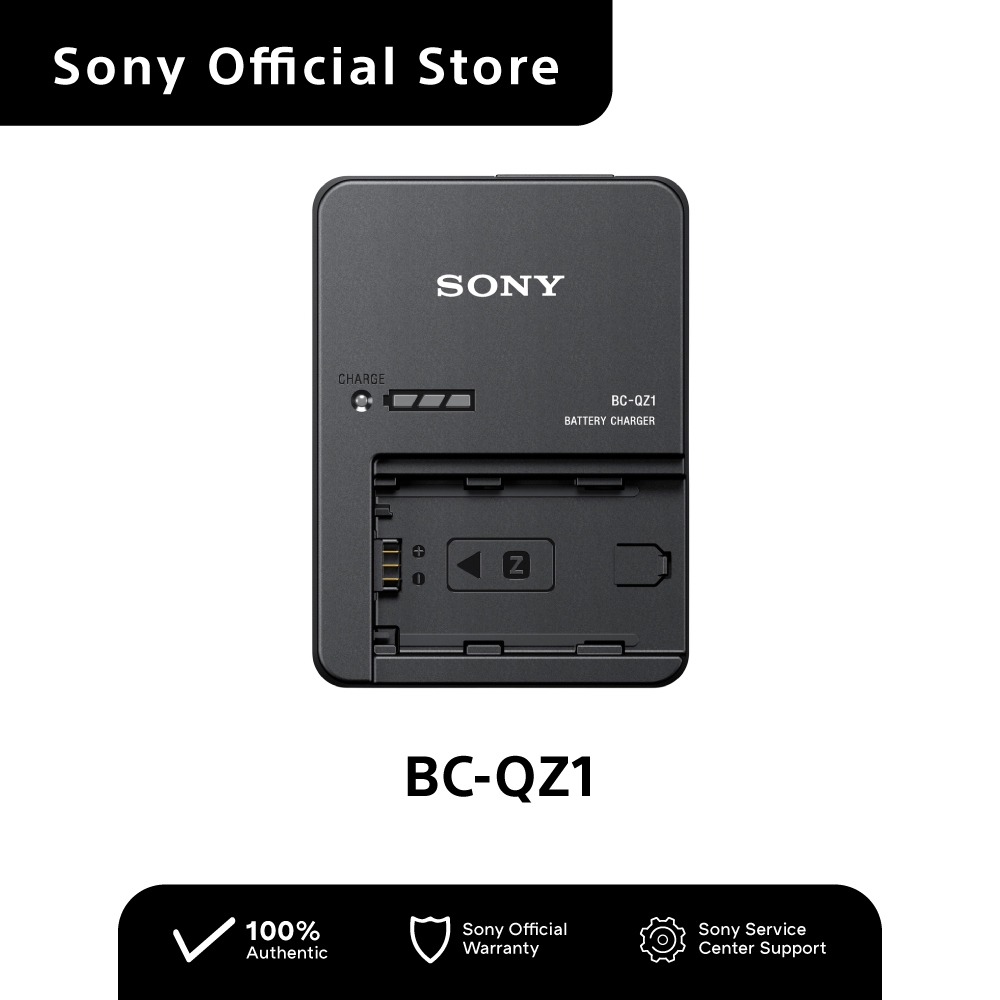 Sony BC-QZ1 Battery Charger for Np-Fz100 | Shopee Philippines