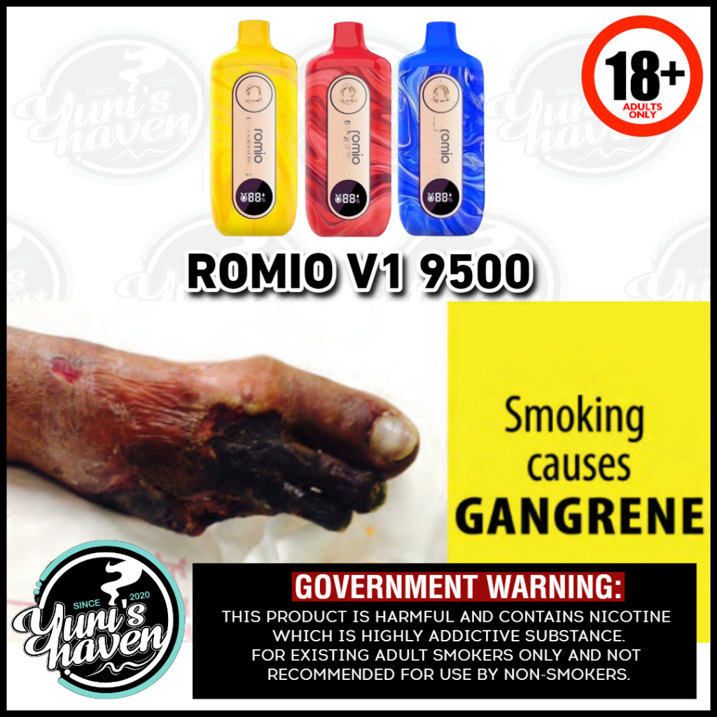 Romio V1 x Denkat 9500 disposable pods with free lanyard (Authentic ...
