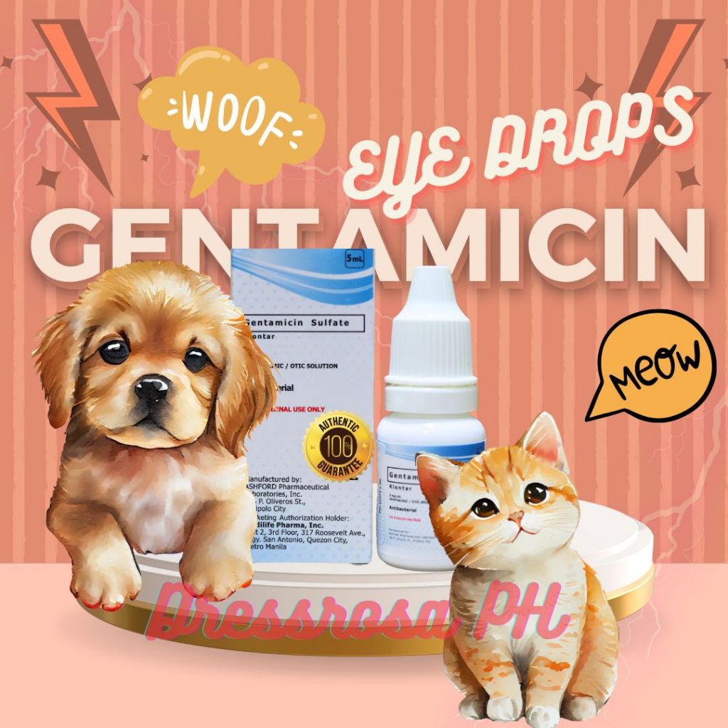 Dressrosa PET Gentamicin Sulfate Eye Drops For Infection For Dogs