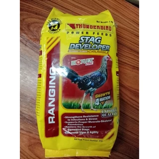Shop thunderbird for Sale on Shopee Philippines