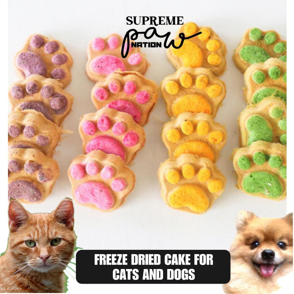 1-pc-freeze-dried-mini-cake-all-natural-healthy-treats-for-cats-and