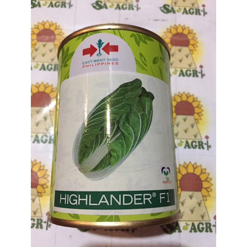 Highlander F1 Hybrid Chinese Cabbage Seeds 50g by East West | Shopee ...