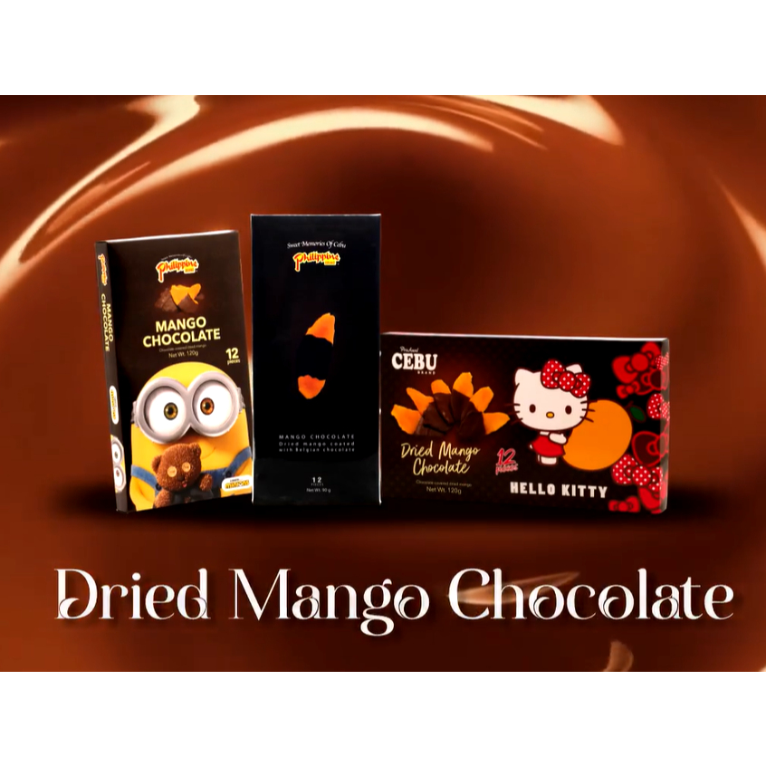 DRIED MANGO CHOCOLATE 120G Giftbox Shopee Philippines