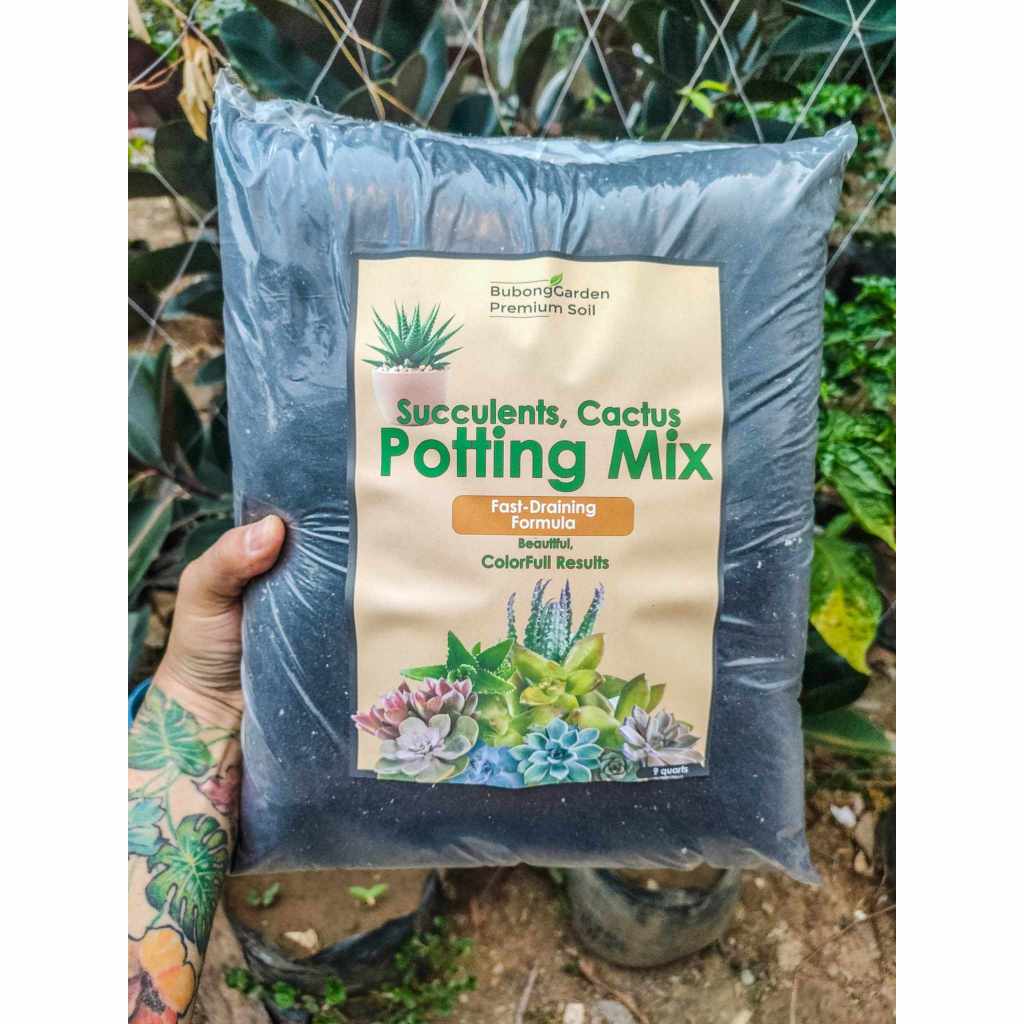Organic Potting Soil, Cactus and Succulent Soil Mix, Professional ...