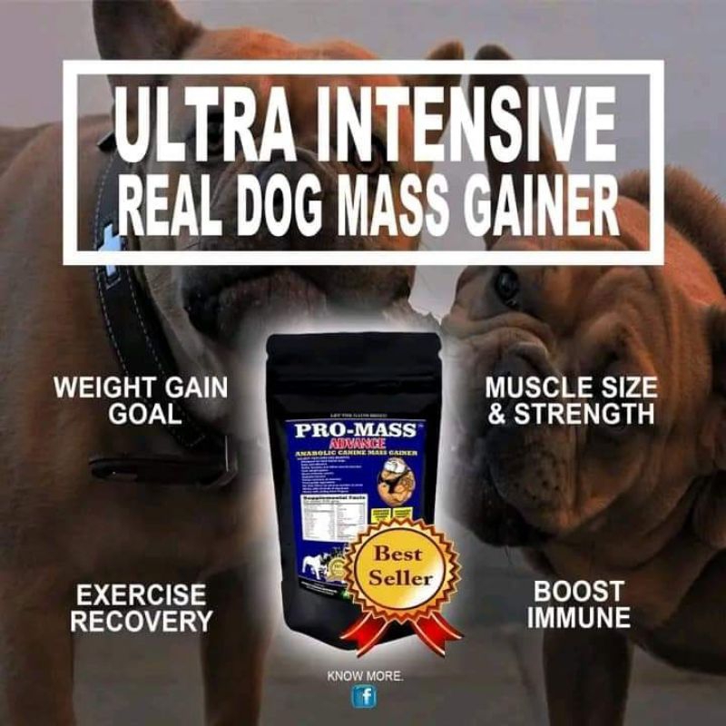PRO-MASS ADVANCE (Mass weight gainer and muscle builder with appetite ...