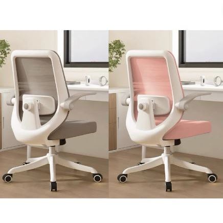 Yali Ergonomic Office Chair with Lumbar Support Flip up Arms Height  Adjustable Home Office Chair - Main Image