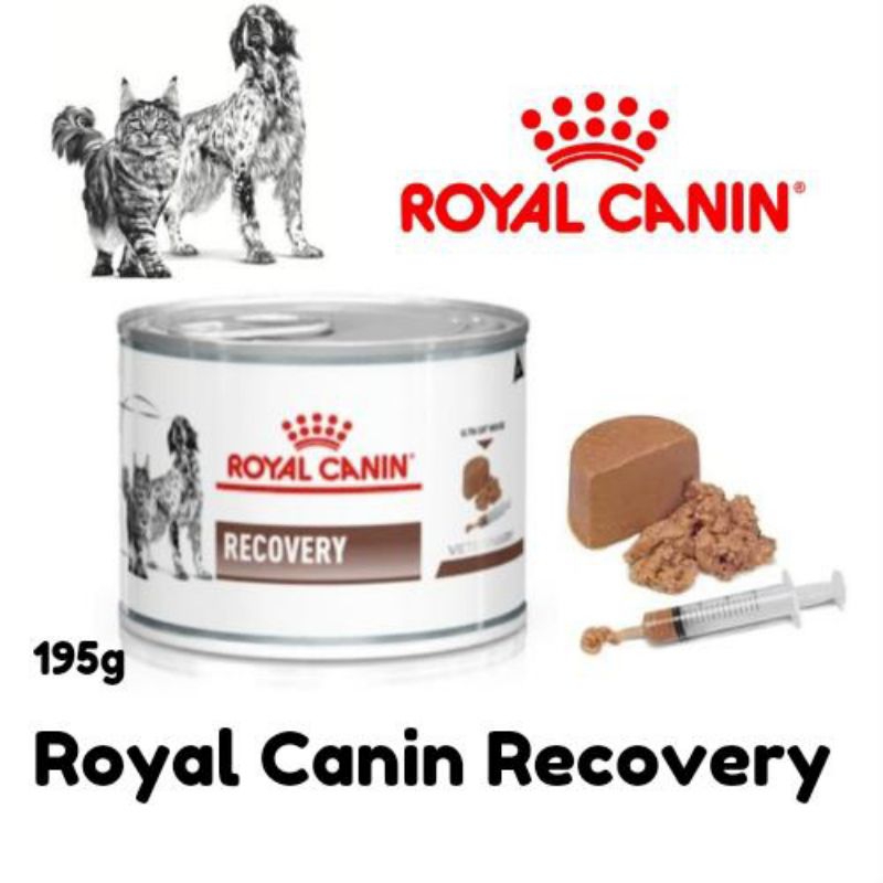  CANIN Recovery Convalescence 5本 Royal canin recovery convalescence clearance