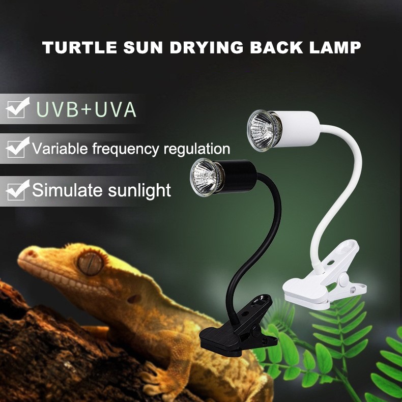 Reptile Heat Lamp UVA UVB Reptile Light with Holder&Switch for Lizard ...