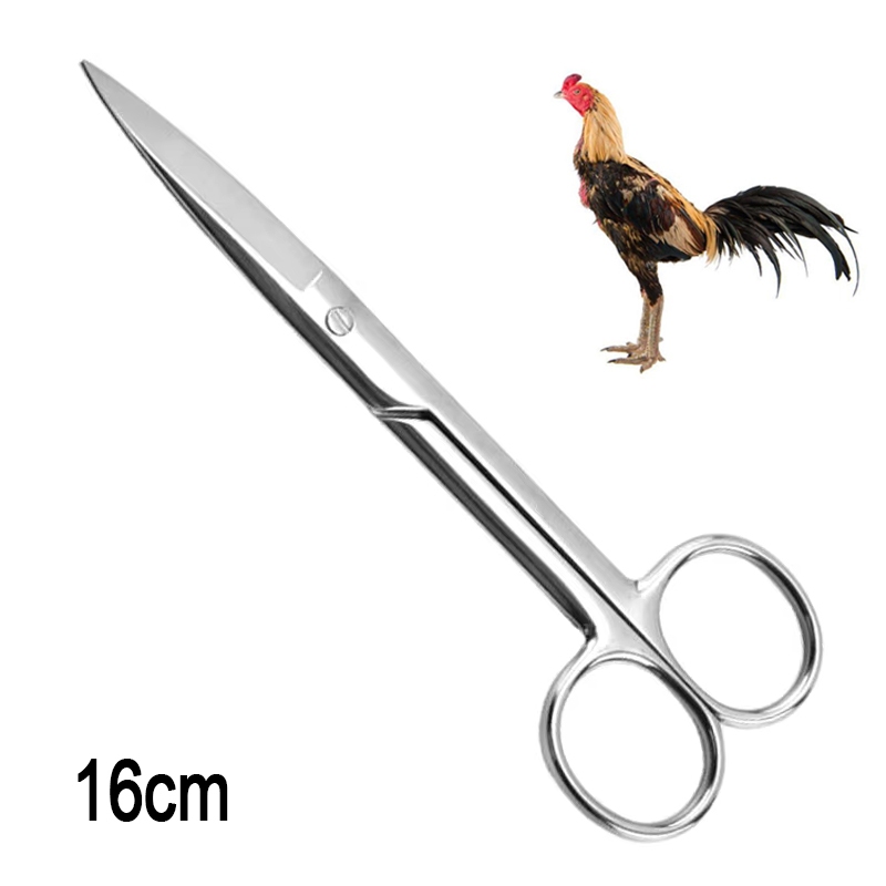 16cm Stainless Scissors for Gamefowl Rooster Feathers Poultry Supply ...