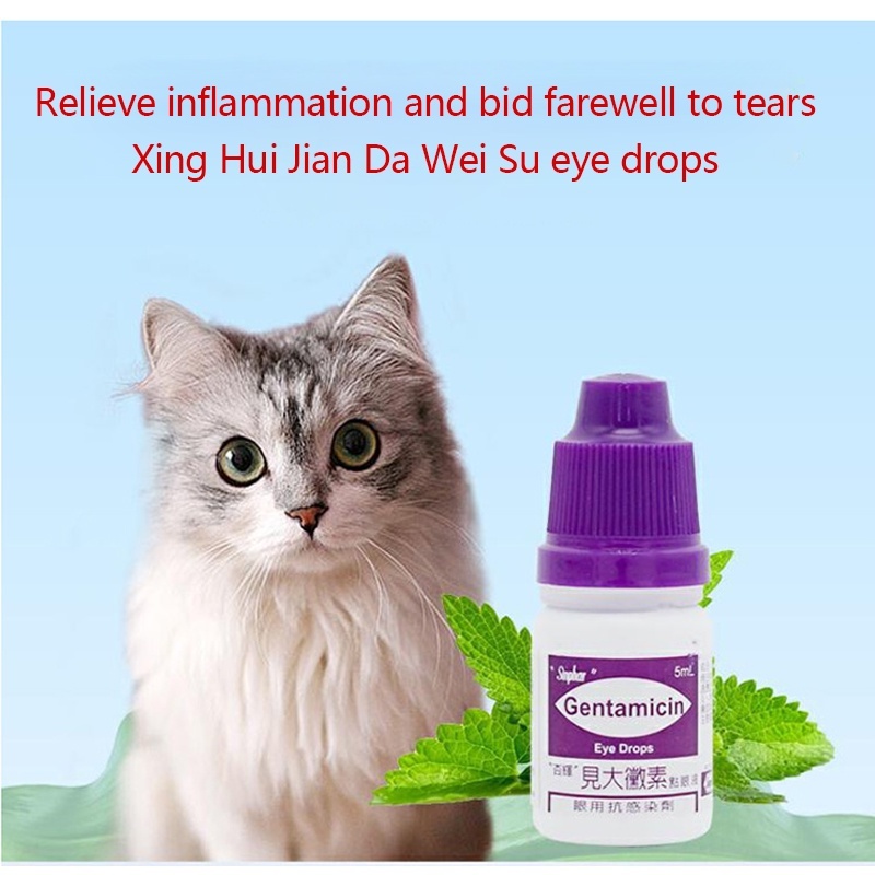 Pet Eye Drops 5ML Gentamicin Eye Drops for Cats Dogs Remove Infection ...