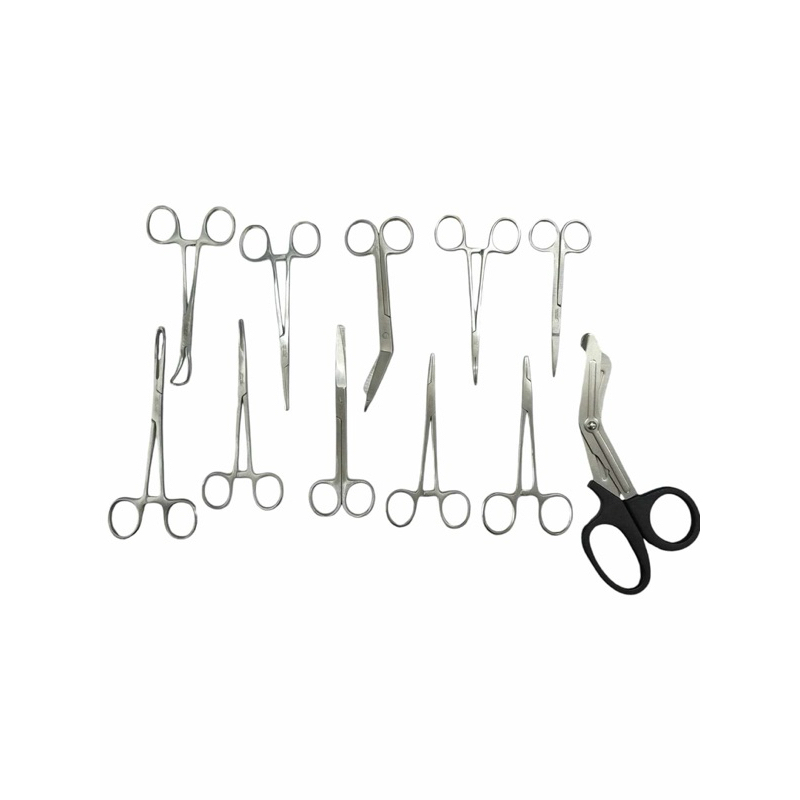 STAINLESS STEEL INTRUMENTS SCISSORS | Shopee Philippines