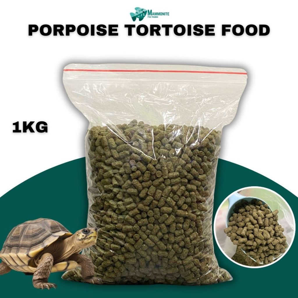 Shop tortoise food for Sale on Shopee Philippines