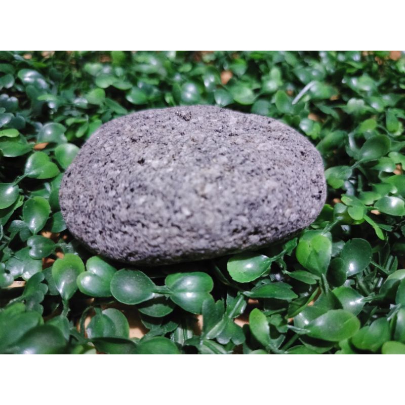 batong panghilod for teens(medium) | Shopee Philippines