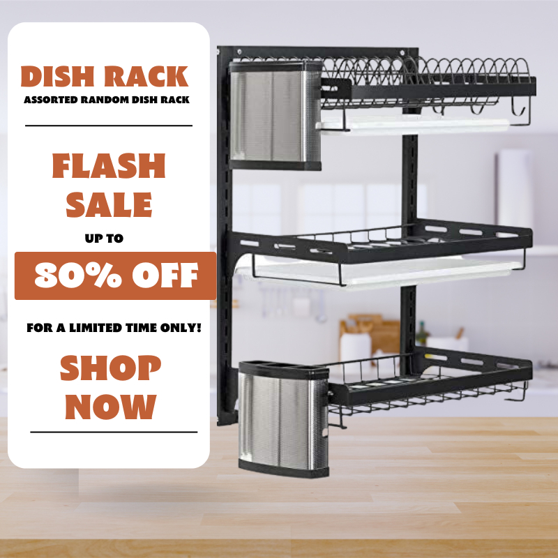 RAMEY Dish Rack With Door Kitchen Metallic Sink Rack Multiz2