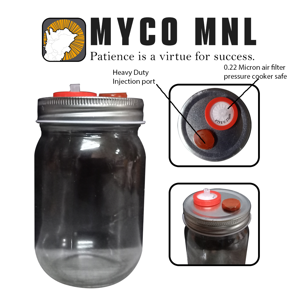 Liquid Culture Professional Jar 500ML ( Pressure Cooker Safe) Shopee