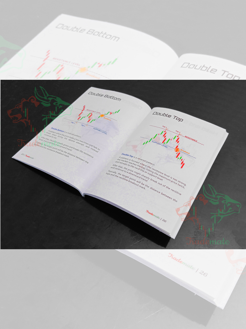 Trademate Chart Patterns and Candlestick Booklet (Forex - Crypto ...