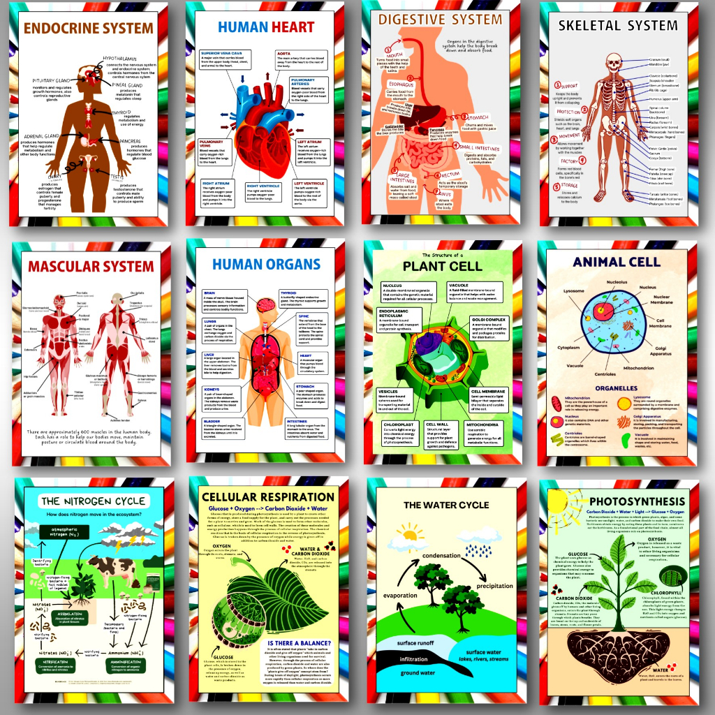 Laminated educational chart a4 size (Science) | Shopee Philippines