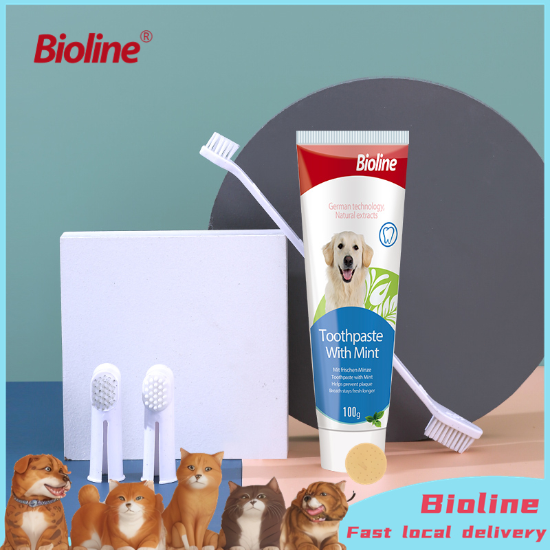 BIOLINE Beef Flavored Toothpaste Set for Dogs 100g Shopee Philippines