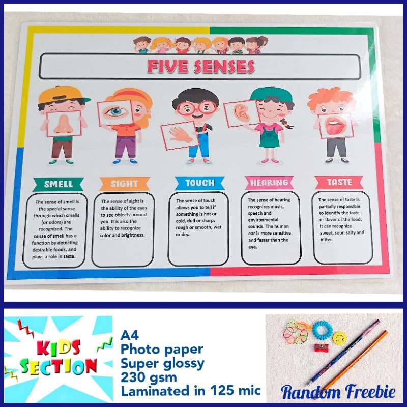 Laminated Educational Chart - Five Senses | Shopee Philippines