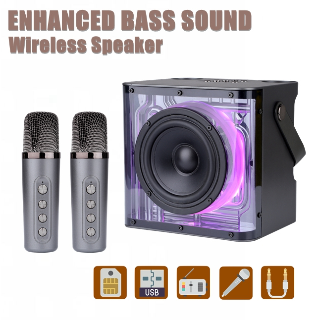 Kd-203 Portable Professional Karaoke Wireless Bluetooth Speaker