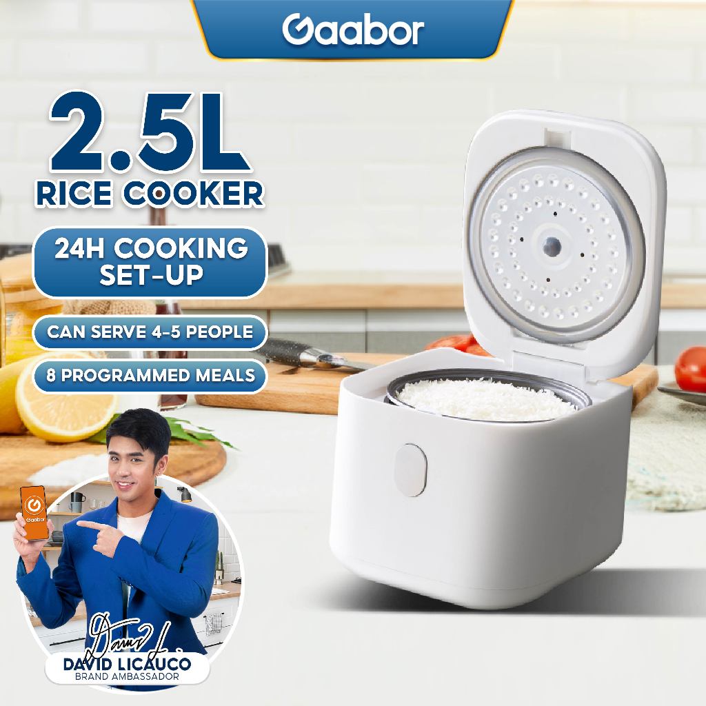 Gaaborbear Multifunctional Rice Cooker Cooking Set Up 24h 8