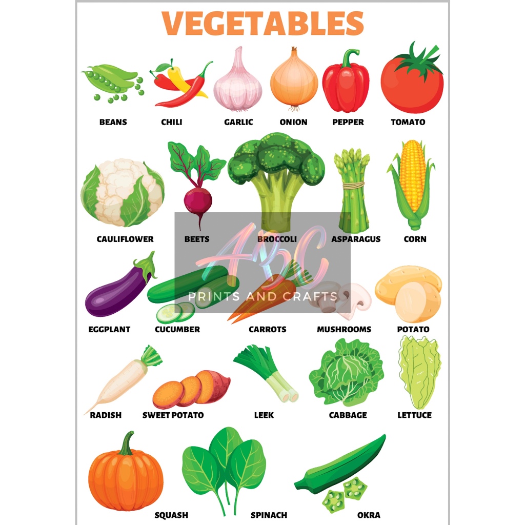 Laminated A4 Educational Wall Chart (FRUITS and VEGETABLES) | Shopee ...