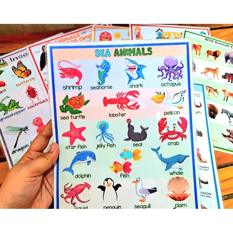 animal-charts-laminated-a4-bond-paper-size-for-kids-teacher-pher