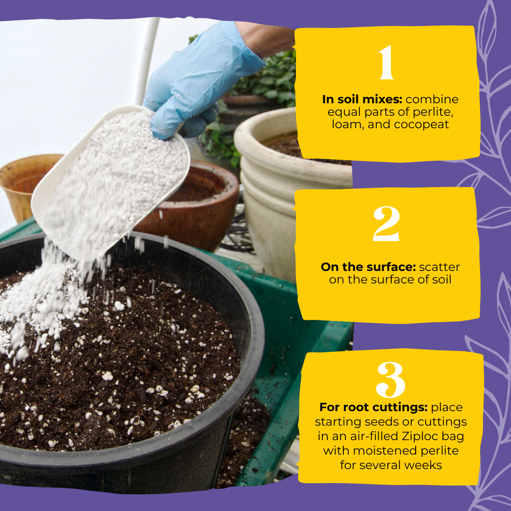 Plant Culture Perlite Lightweight Soil Substrate | 5L | Shopee Philippines