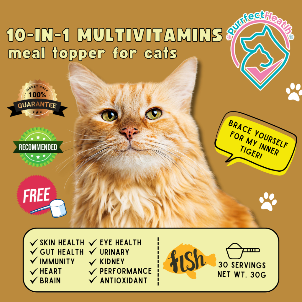 PH 10in1 For Cat Multivitamins, for healthy cat, for pet health
