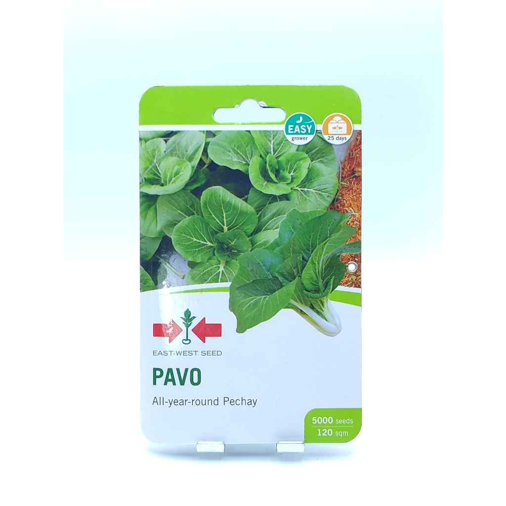 Shop petchay for Sale on Shopee Philippines