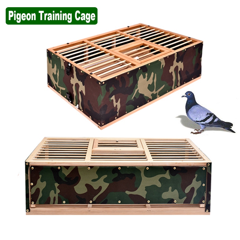 Multi Size Pigeon Cage Foldable Wooden Transportation Pigeon Training