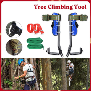 Tree Pole Climbing Spike Set 2 Gears Steel Claw Climbing Tree Spikes with  Adjustable Safety Belt