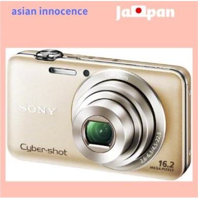 Sony Digital Camera Cyber-shot WX30 (16.2 million pixels CMOS