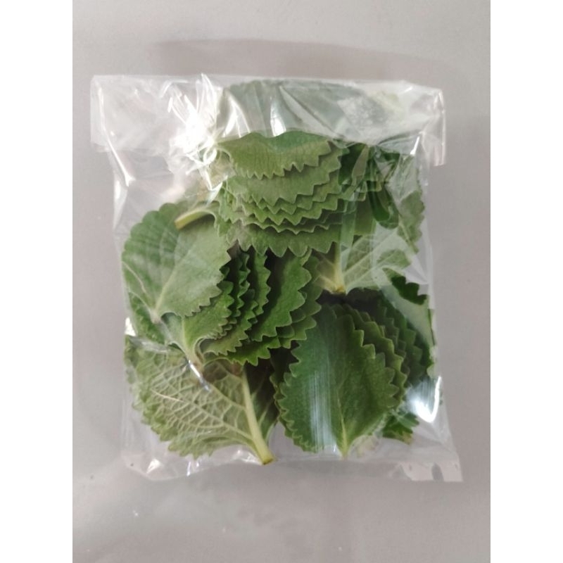 Herbal Oregano Leaves 25pcs Good for COUGH, DIGESTION, WOUND HEALING