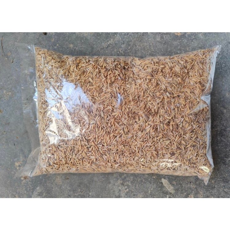 1 KG Pure Rice Hull/Ipa - Ready to Use for Indoor, Outdoor and ...