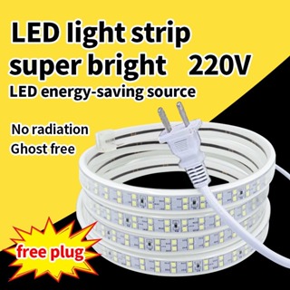 Led Strip Light 220v For Ceiling Indoor Outdoor Decorative Light