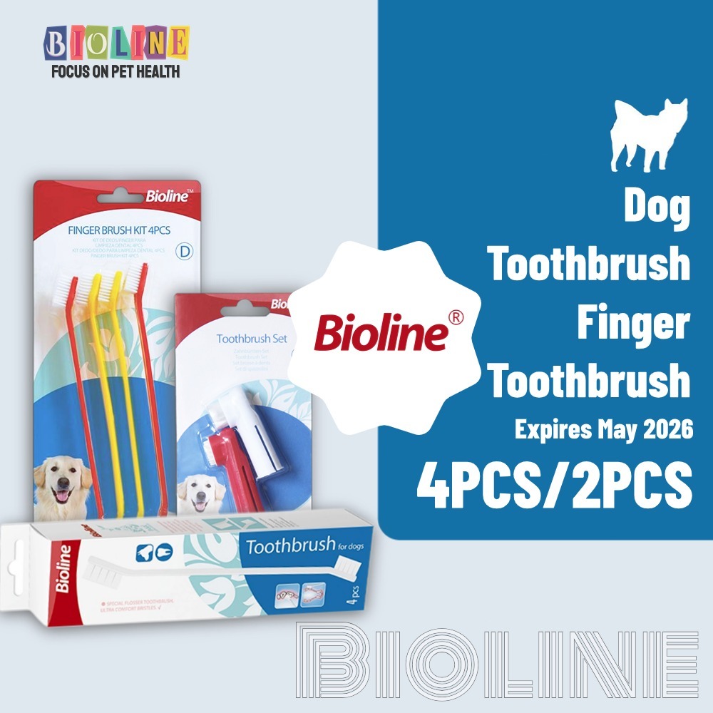 Bioline Toothbrush Set for Dogs, Four Finger Gutters, Single Pack ...