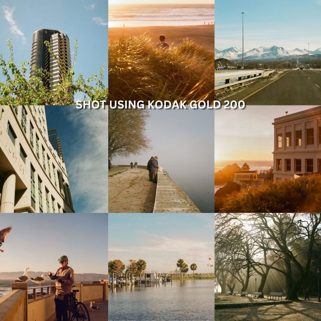 KODAK ColorPlus 200 Gold 200 Ultramax 400 135 35mm Color Negative Film ...