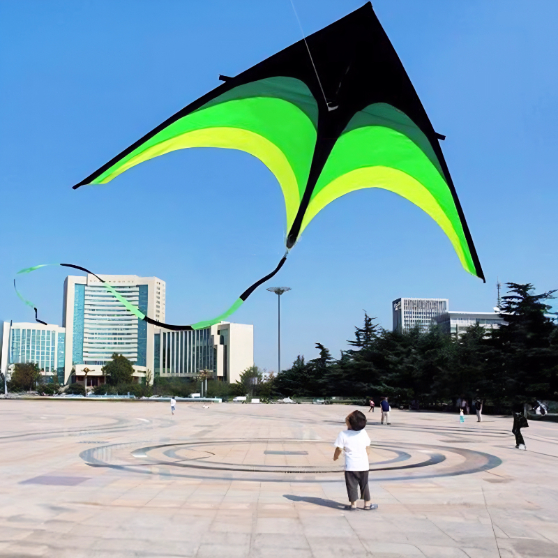 Long tail rainbow kite with kite string Outdoor beach garden sport Kite ...