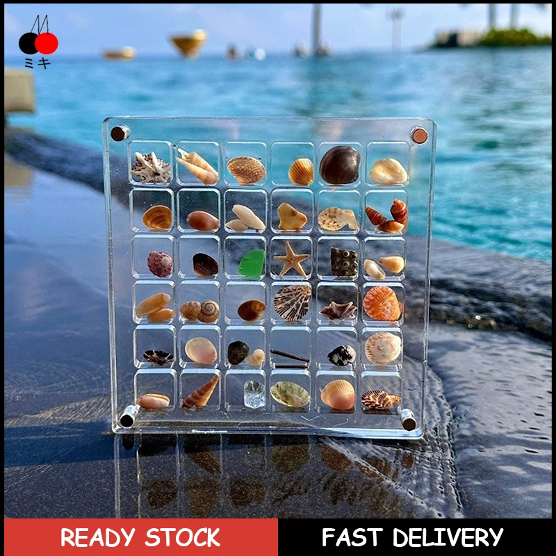 Magnetic Seashell Display Box 36/64 Grids Seashell Collection Mini ...