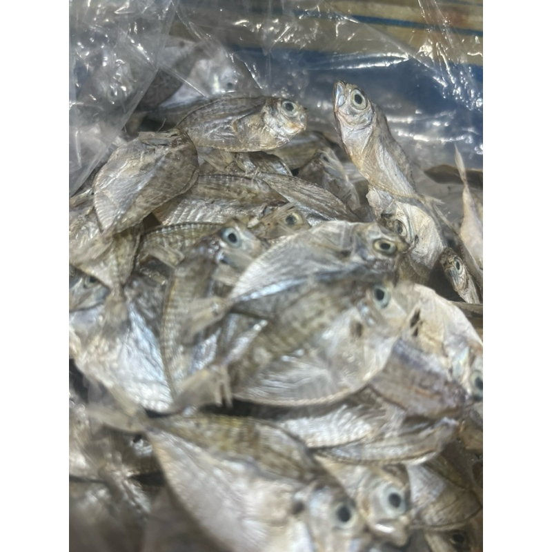 Unsalted Special Daing | Shopee Philippines