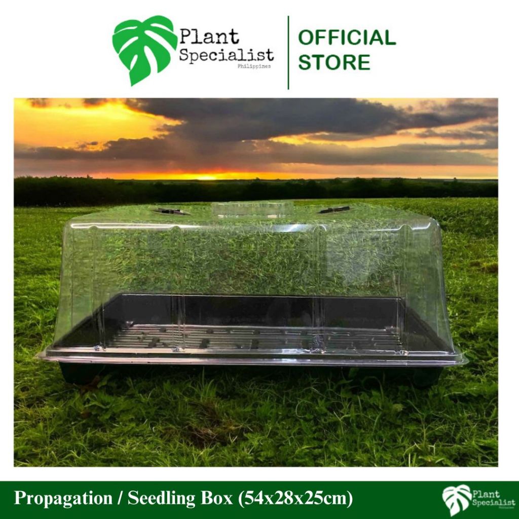 Propagation Box / Seedling Box ( 54x28x25cm ) | Shopee Philippines
