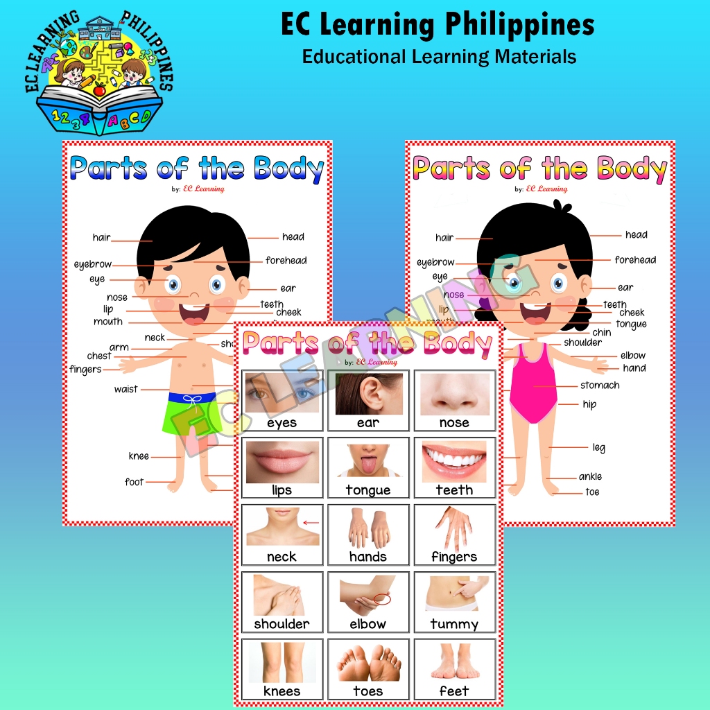 BODY PARTS Laminated Educational Wall Chart for kids - EC LEARNING ...