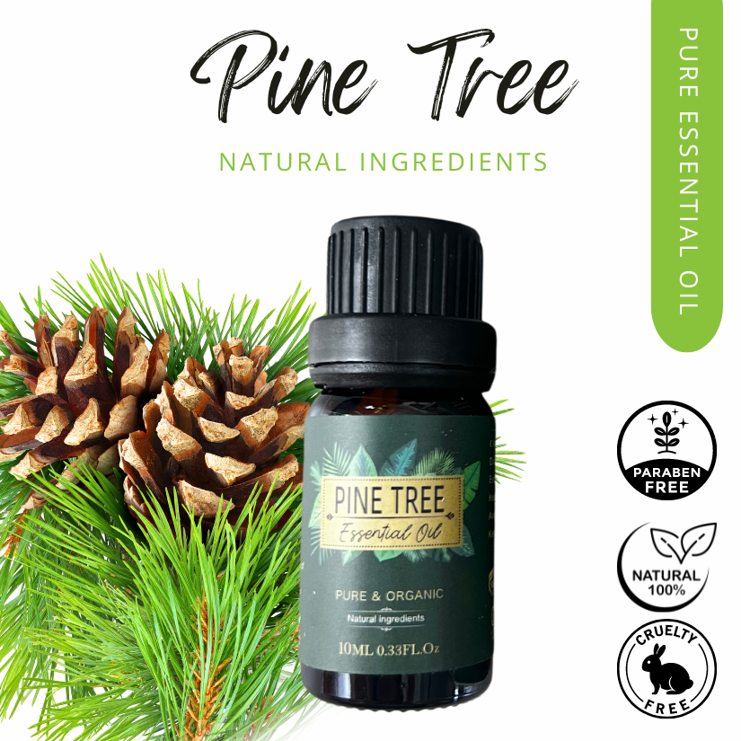 10ML PINE TREE Essential Oil Pure & Organic Shopee Philippines